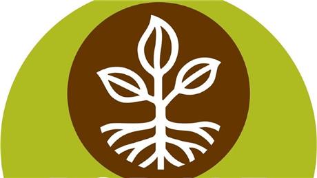 Group Banner Picture